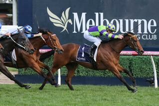 I Am a Star (NZ) claiming victory in the G3 Ladies' Day Vase